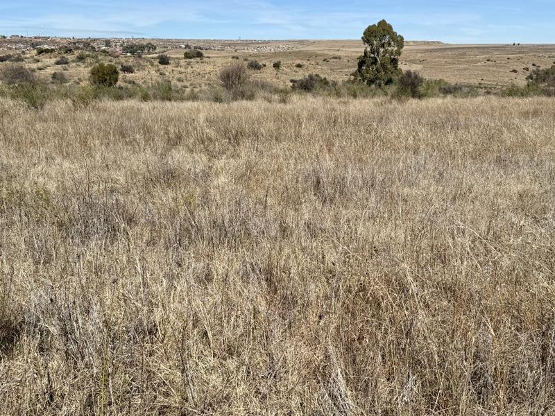0 Bedroom Property for Sale in Lindley Free State